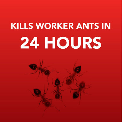 Ortho Home Defense Ant Bait Stations, Outdoor & Indoor Ant Killer, 8 Plastic Stations with 4