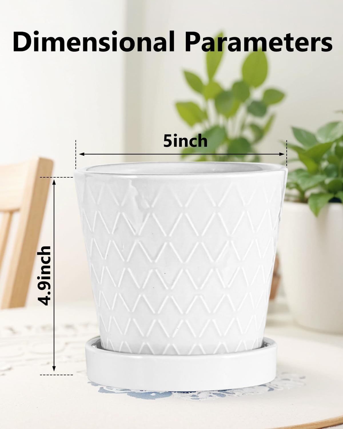 EFISPSS Flower Planter –5 inch Ceramic Plant Pots with Drainage Holes and Ceramic Tray - Gardening