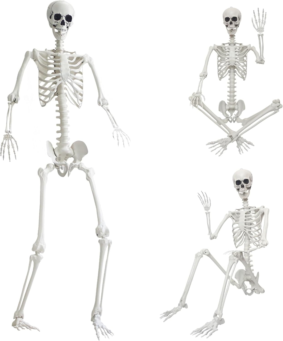 7.9ft/240cm Giant Skeleton Halloween Skeleton Life Size Skeleton Posable Skeleton Full Body