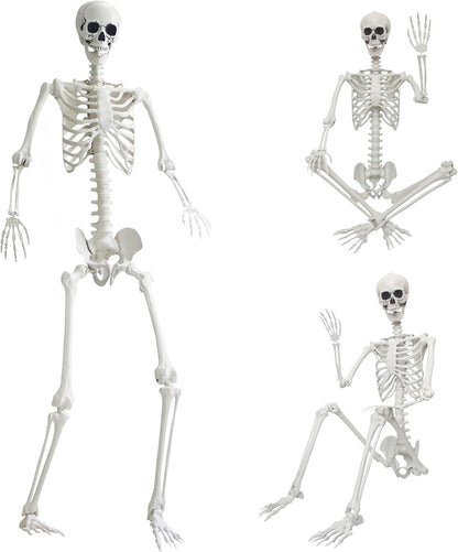 7.9ft/240cm Giant Skeleton Halloween Skeleton Life Size Skeleton Posable Skeleton Full Body