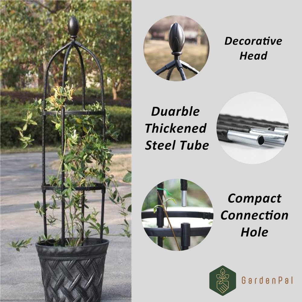 GardenPal Rustproof Metal Pipe Garden Obelisk Trellis, Tomato Cage and Plant Support for Climbing