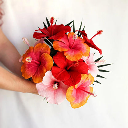 Pink Hibiscus. rosa-sinensis. Live Plant - Tropical Blooming Hibiscus, Pretty Flowers, Used in Tea