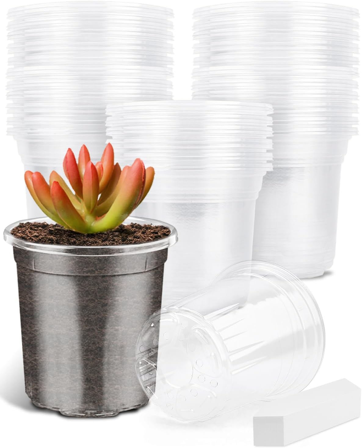 PACETAP 60Pack 3.5 Inch Reinforced Clear Nursery Pots with Drainage Holes, Variety Pack Plastic