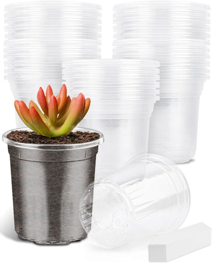 PACETAP 60Pack 3.5 Inch Reinforced Clear Nursery Pots with Drainage Holes, Variety Pack Plastic