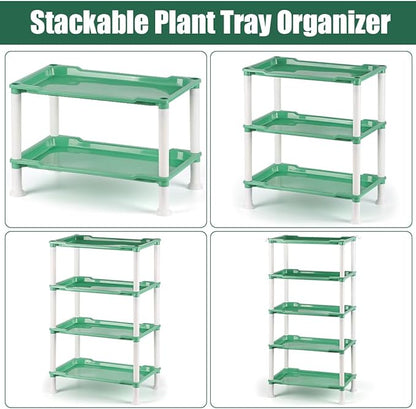 Tabletop 5-Tier Seed Starting Kit Germination Tray - Plant Stand with Grow Lights Full Spectrum