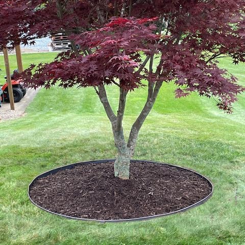 Circular Tree Ring Edging Kit - COR-Ten Steel - Landscape Edging