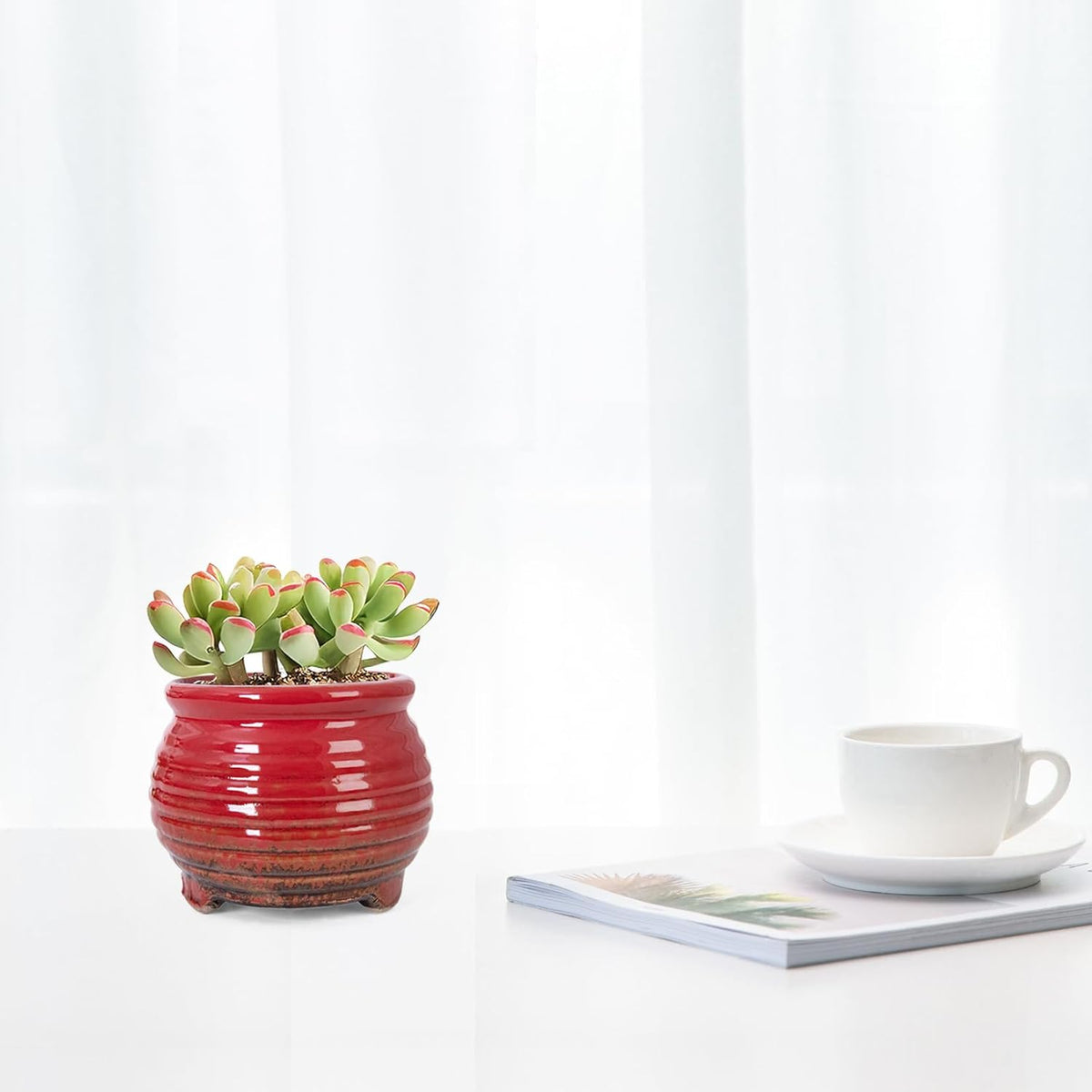 ARTKETTY Succulent Pots - Small Succulent Plant Pot with Drainage Set of 6, Ceramic Cactus Planter