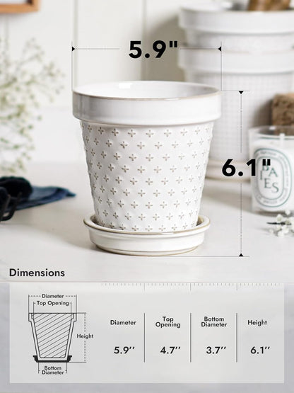 LE TAUCI Ceramic Plant Pots, 6 Inch Flower Pot with Drainage Hole & Saucer, Embossed Planter Pots