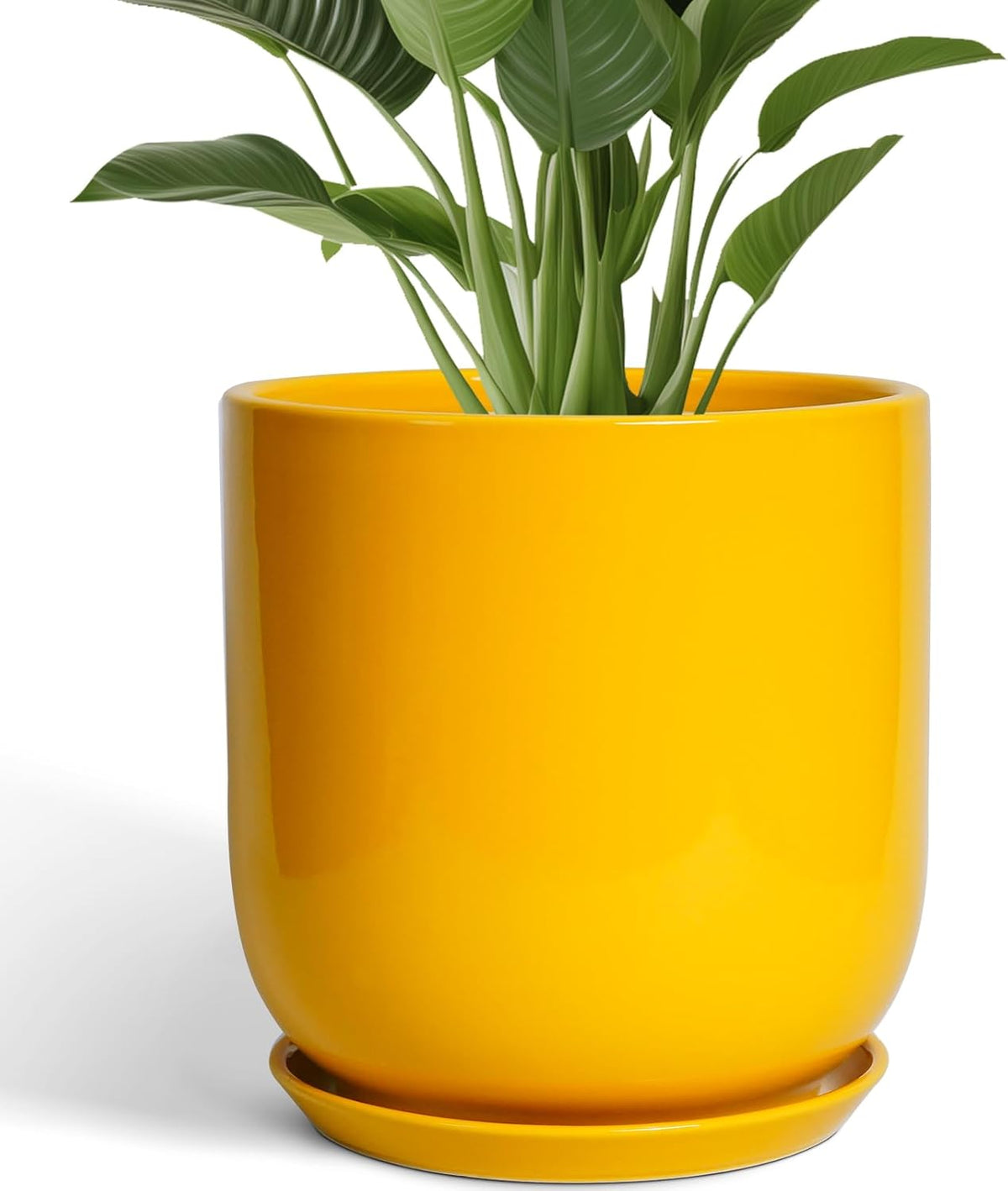 12 Inch Pots for Plants - Ceramic Planter for Outdoor Plants Large Plant Pot Indoor with Drainage