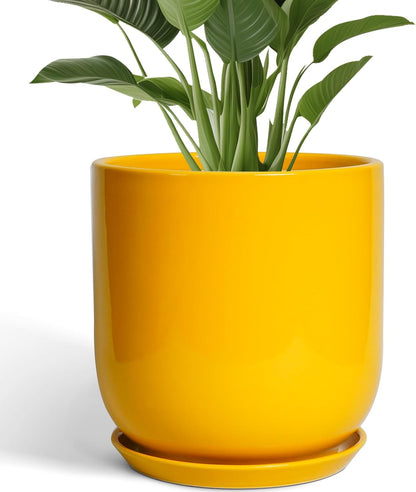 12 Inch Pots for Plants - Ceramic Planter for Outdoor Plants Large Plant Pot Indoor with Drainage