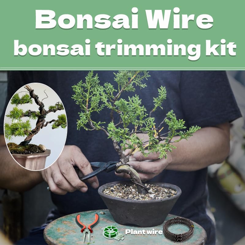 Bonsai Wire 7pcs-5 Rolls of Aluminum Bonsai Training Wire, Cutting Pliers and Plant Ties with