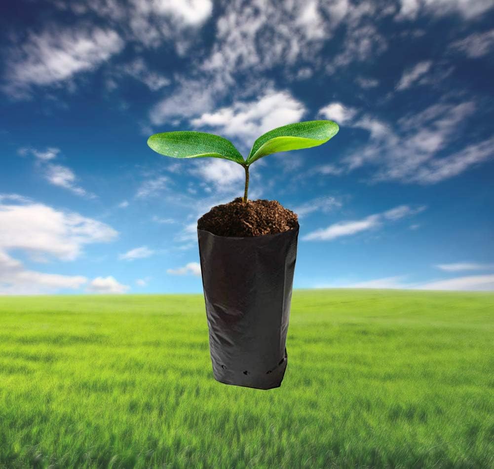 100 PCS Thicken Plastic Nursery Bags for Plants Fruit Flower Grow Bags Seedling Pots (7.87x11.81 in)