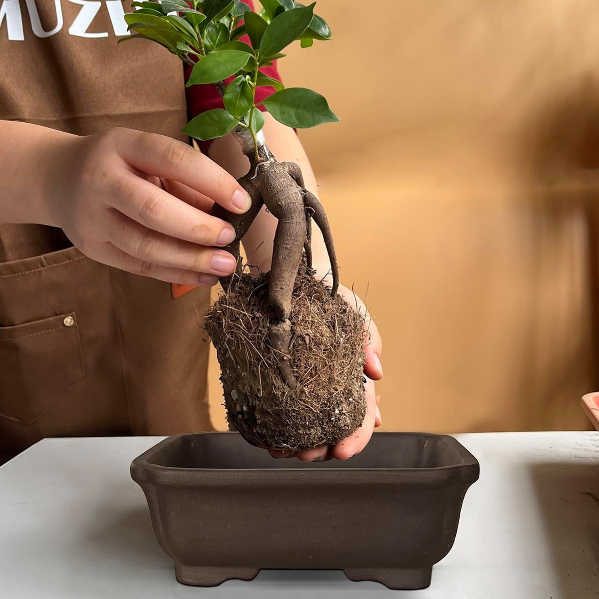 MUZHI 2PACK Unglazed 6” Ceramic Bonsai Pot with Humidity Trays, Breathable Handmade Rectangle