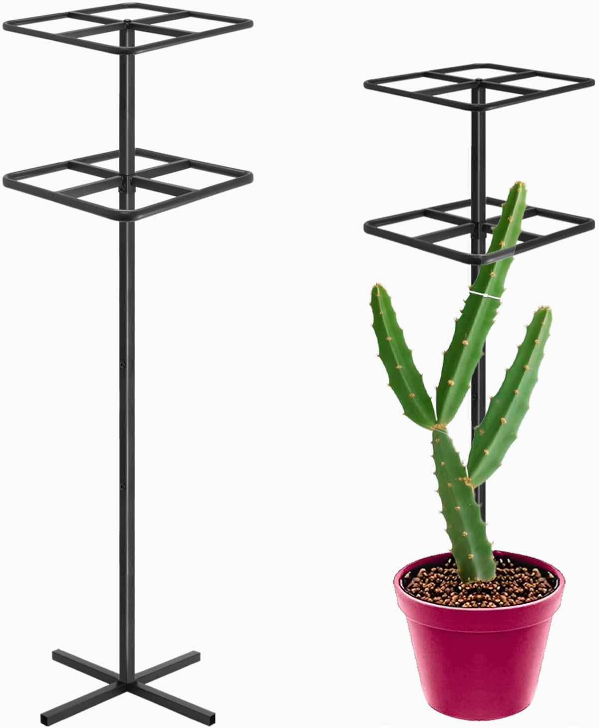 Adjustable Double-Layer Dragon Fruit Trellis Black,Durable Metal Plant Trellis Outdoor Climbing