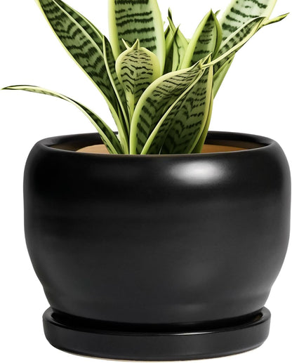 SQOWL Ceramic Plant Pot - 6 Inch Planter for Indoor Plants, Round Flower Pot with Drainage Hole and