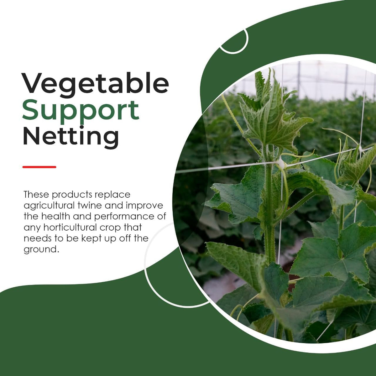 10-Feet by 4920-Feet Professional Grade Vegetable Support Trellis Netting Roll/Scrog Net Roll
