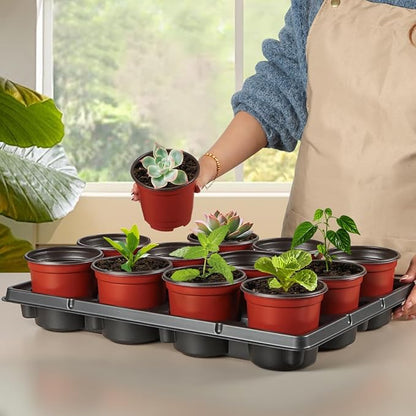 4 inch Round Nursery Pots 60pcs, 12 Cell Nursery Pots Trays 5 Pcs, Sturdy Seeds Starting