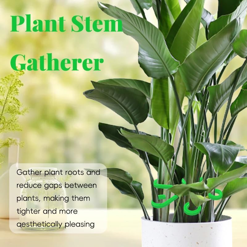 Plant Stem Support Set, 8Pcs 4 Sizes Plant Trellis Rings for Climbing Plants Indoor, Support Holder