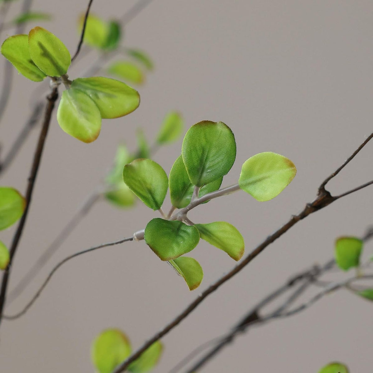 mizii 5pcs Artificial Greenery Stems 38in Realistic Faux Ficus Branches Long Stem with Green Leaves