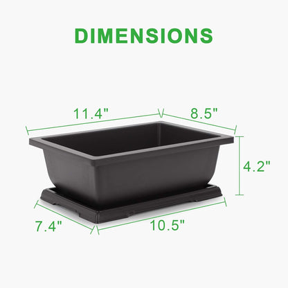 GROWNEER Bonsai Pots 3 Packs 11 Inch Bonsai Tree Training Pot with Humidity Drainage Trays &