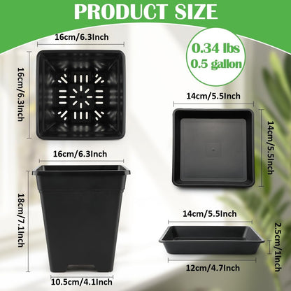 6 inch Plant Pots, 10 Pack Flower Pots Outdoor Indoor, Square Plastic Planter with Drainage Holes
