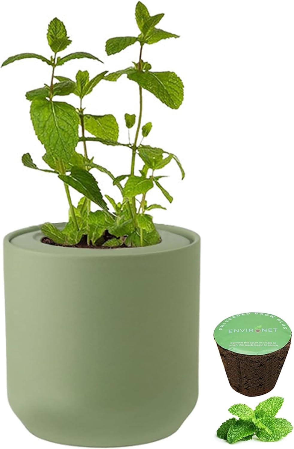Hydroponic Herb Growing Kit, Self-Watering Kitchen Herb Garden Starter Kit with Green Ceramic Pot