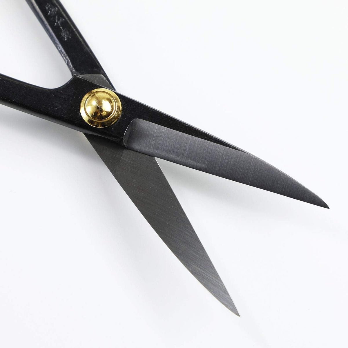 Wazakura Twig Bonsai Scissors Made in Japan 8-1/4inch(210mm), Japanese Bonsai Garden Tools, Hasami