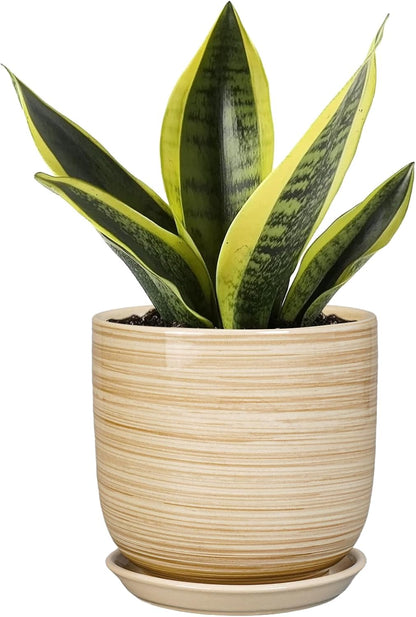 Ceramic Plant Pot 5 Inch - Modern Round Succulent Planter for Indoor Plants with Drainage Hole and