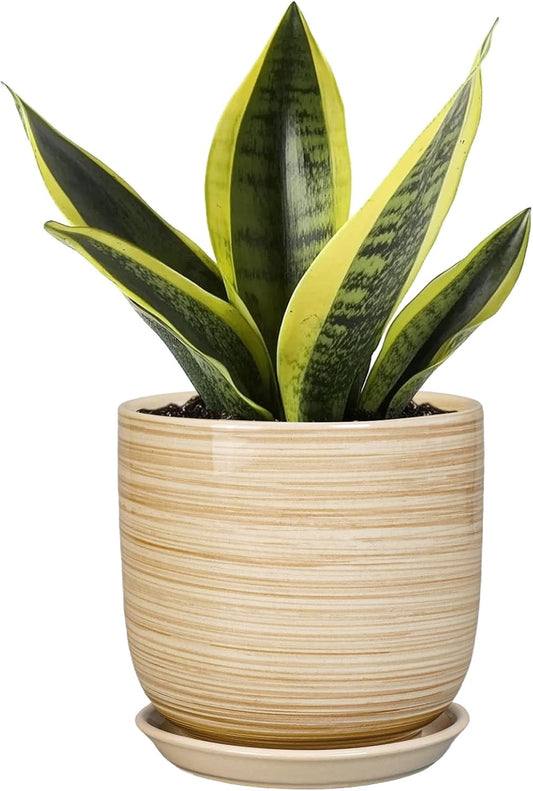 Ceramic Plant Pot 5 Inch - Modern Round Succulent Planter for Indoor Plants with Drainage Hole and