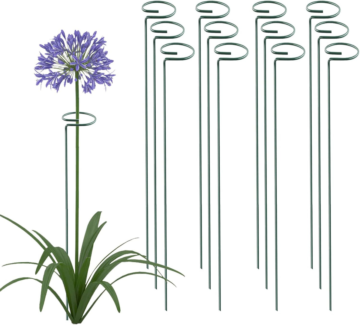 36 Inch 12 Packs Plant Support Stakes,Garden Single stemmed Plant Support Hoops, Plant Prop, for