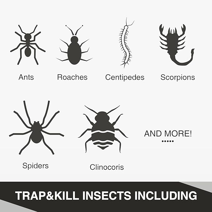Qualirey Ant Traps Indoor, Upgraded Peanut Butter Scented, Larger 10pcs Ant Spider Cockroach