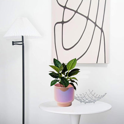 LB Pink Purple Ceramic Planters for Indoor Plants, Succulent Plant Pots Ceramic Plant Pot, Cute