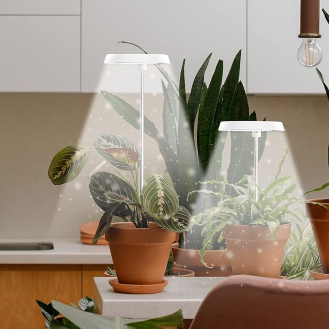2 Pack Halo Plant Grow Light, 6000K White LED Full Spectrum Growing Lamp for Indoor Plants