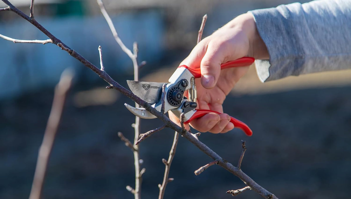 – Professional Bypass Hand Pruning Shears – Durable, Heavy Duty, Landscaping