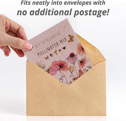 Bentley Pollinator Mix - Pre-Filled, Non-GMO, Non-Coated Butterfly Packets - 25 Annual Wildflower