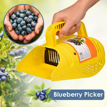 Blueberry Picker, Plastic Blueberry Picker Scoop Blue Berry Picking Rake for Cranberries