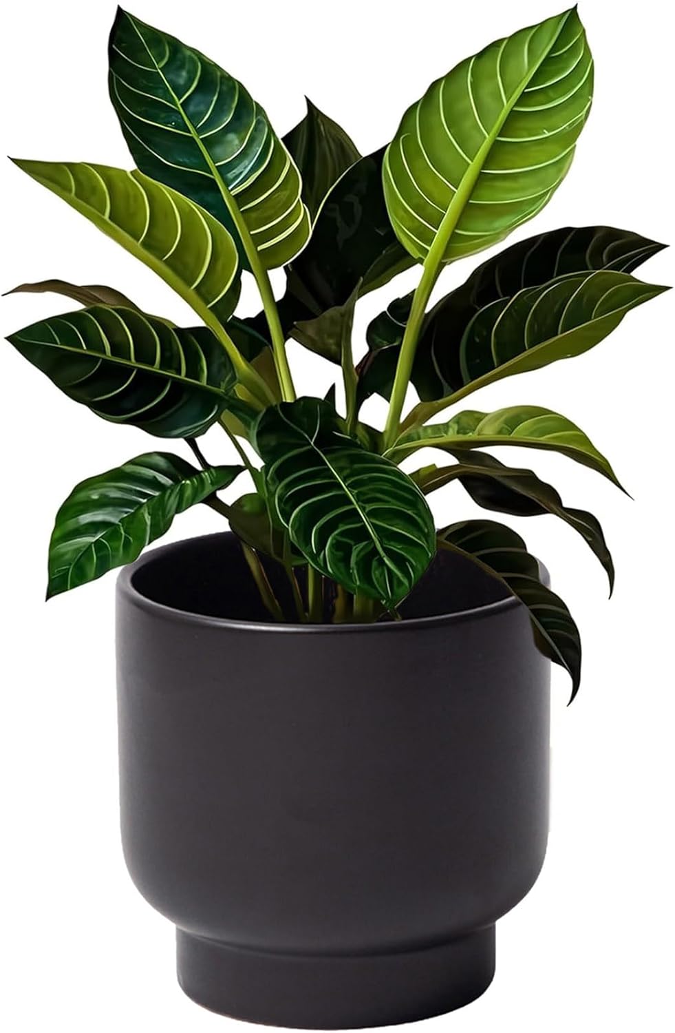 LB Black Ceramic Plant Pot for Indoor Plants, Succulent Planters Ceramic Plant Pots, Modern Flower