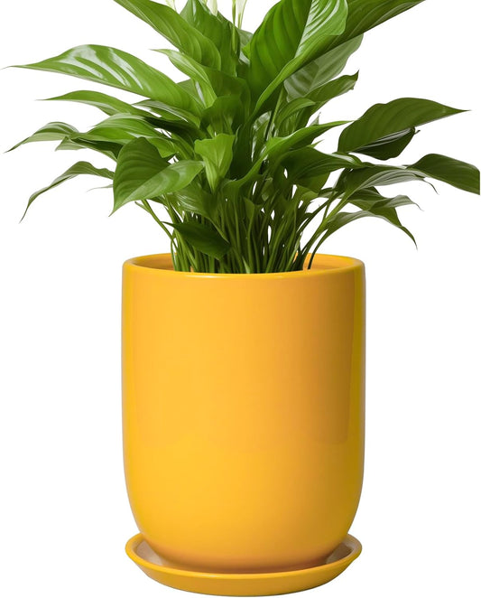 Plant Pot 8 Inch - Ceramic Plant Pot with Drainage Hole and Saucer Large Planter for Indoor Plants