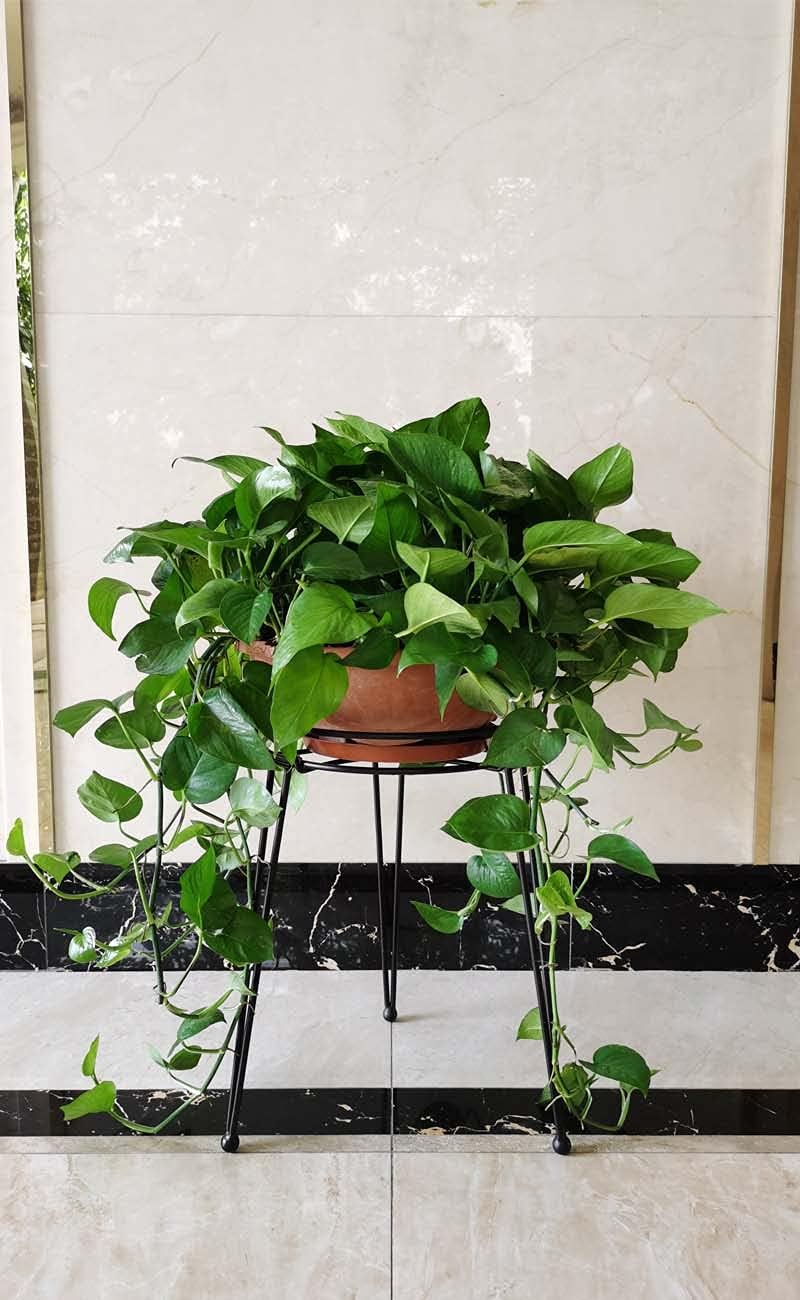 Midcentury Modern Metal Potted Plant Stand 18.7 inches Tall Flower Pot Holder Large Rustproof Iron