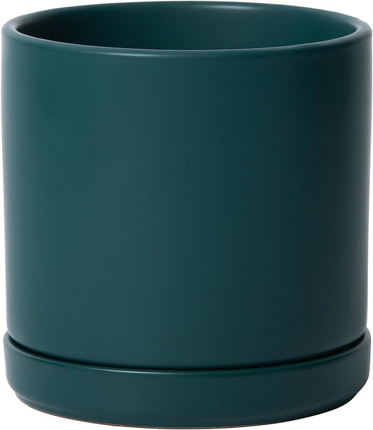 D'vine Dev 6 Inch Ceramic Planter Pot with Drainage Hole and Saucer, Indoor Cylinder Round Planter