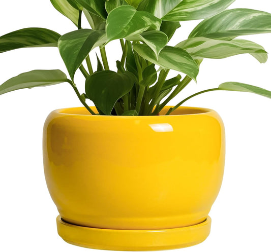 SQOWL Ceramic Plant Pot - 8 Inch Planter for Indoor Outdoor, Decorative Plant Pot with Drainage