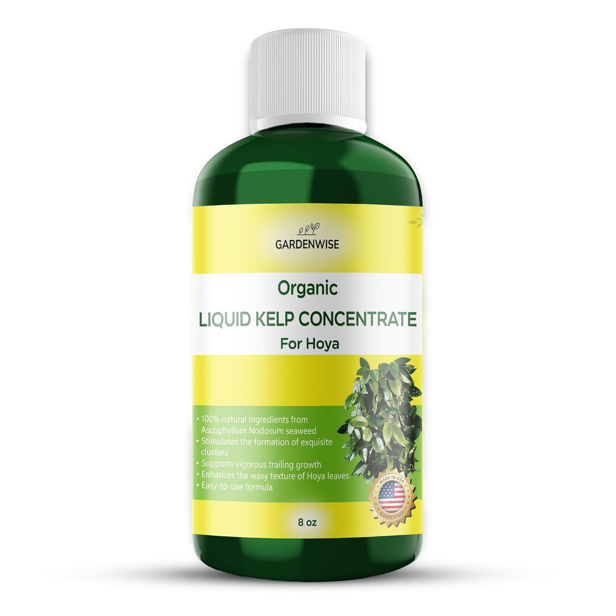 Organic Premium Kelp Seaweed Concentrate for Hoya - Liquid Fertilizer - Liquid Plant Food