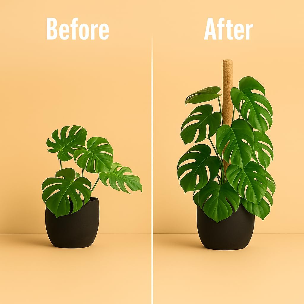 Moss Pole Monstera Plant Support – 2 Pack 28” Bendable Moss Pole Monstera Plant Support, Plant