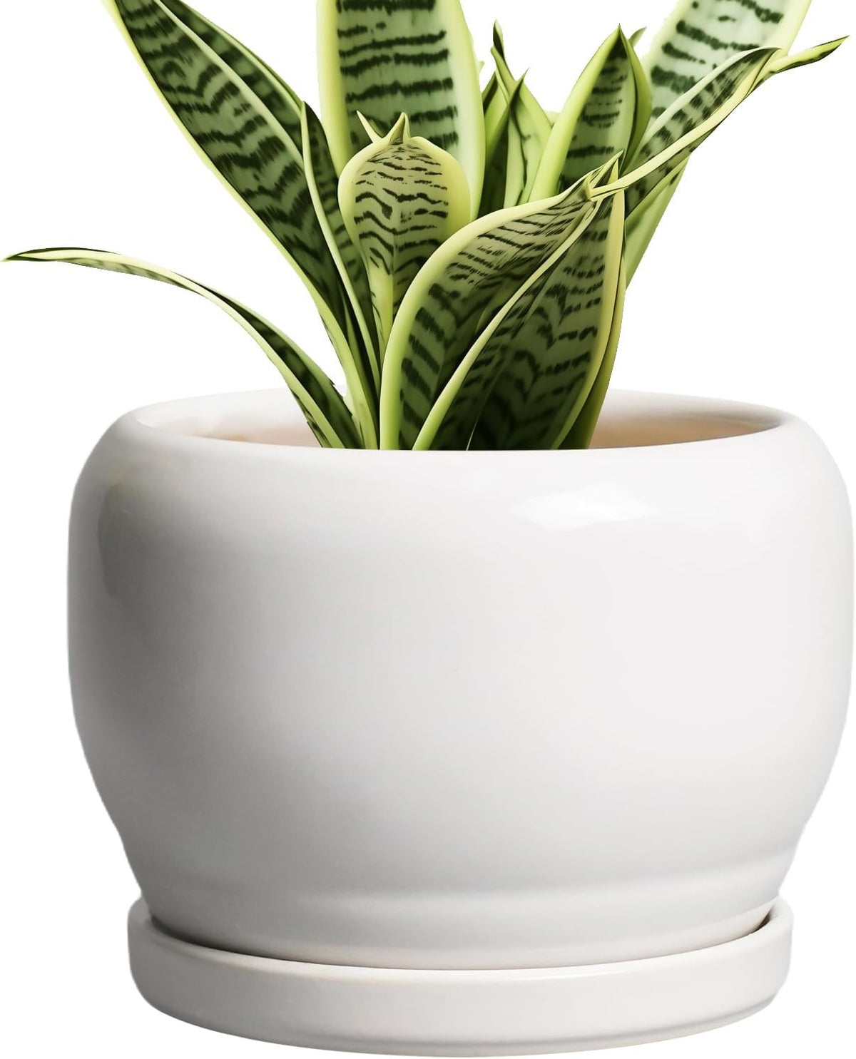 SQOWL Ceramic Flower Pots - 6 Inch Plant Pot Indoor Outdoor, Ceramic Planter with Drainage Hole and
