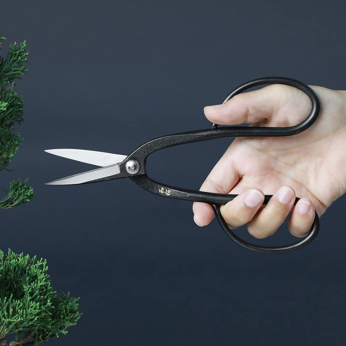 Wazakura Yasugi Steel Made in Japan Ashinaga Bonsai Scissors 8.2 in (210 mm), Bonsai Tree Pruning