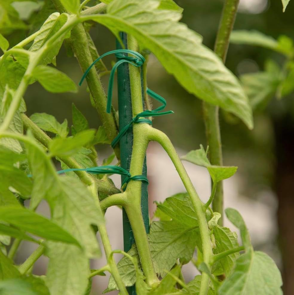 Rocky Mountain Goods Twist Ties for Plants with Cutter - Green Garden Twist Ties for Outdoor/Indoor