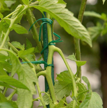 Rocky Mountain Goods Twist Ties for Plants with Cutter - Green Garden Twist Ties for Outdoor/Indoor