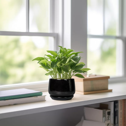 G EPGardening Small Ceramic Planter - 4 Inch Succulent Pots with Drainage Hole & Sacuer, Flower