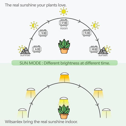 LED Grow Lights for Indoor Plants 2 Pack, Smart Full Spectrum USB Small Plant Lights with Remote