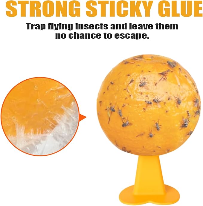 6 PCS Fly Trap Indoor Fly Sticky Ball, Hanging Fly Trap Outdoor Bug Gnat Trap Ball, Bug Catcher